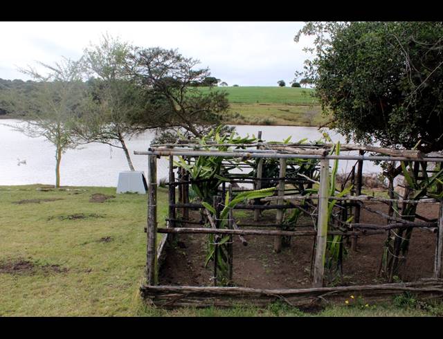 657HA FARM FOR SALE IN KOMGA RURAL